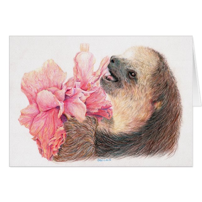 Sloth eating hibiscus flower (Front Horizontal)