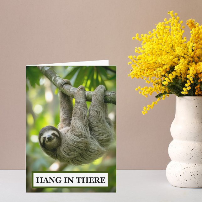 Sloth Hang In There Encouragement Card (Hang in there sloth encouragement card)