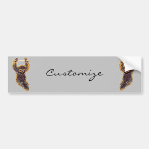 Sloth Hanging Out Thunder_Cove Bumper Sticker