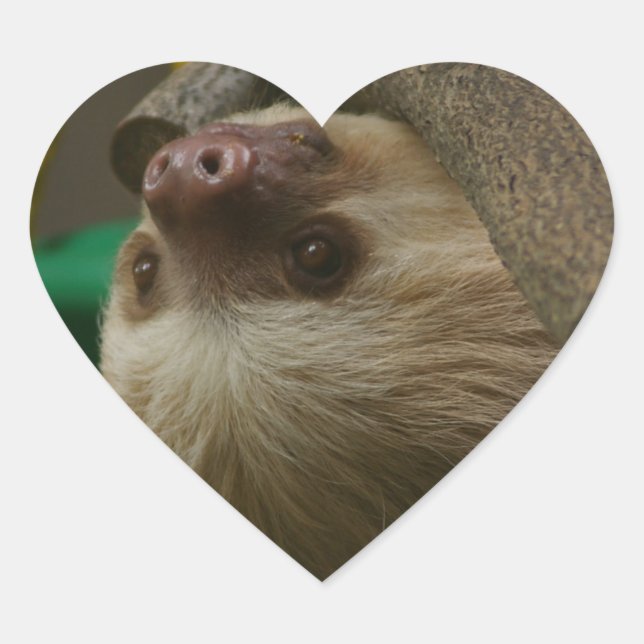 Sloth Heart Sticker (Front)