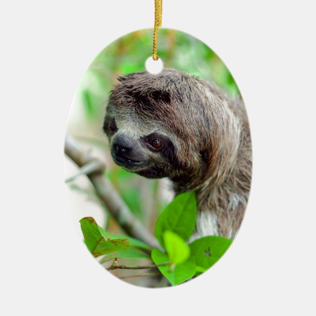 Sloth in tree Nicaragua Ceramic Ornament (Front)