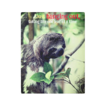 Sloth in tree photo