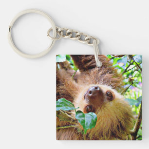 Sloth Key Ring