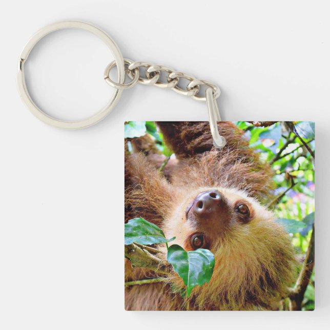 Sloth Key Ring (Front)