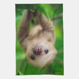 Sloth Kitchen Towel