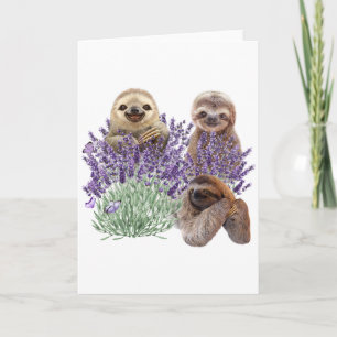 Sloth Lavender Shirt Womens Sloth Clothing Mother Thank You Card