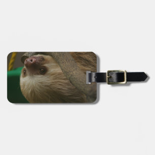 Sloth Luggage Tag