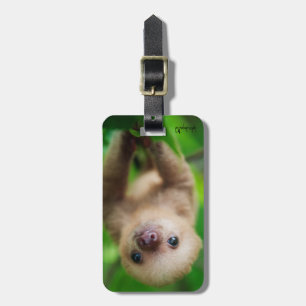 Sloth Luggage Tag