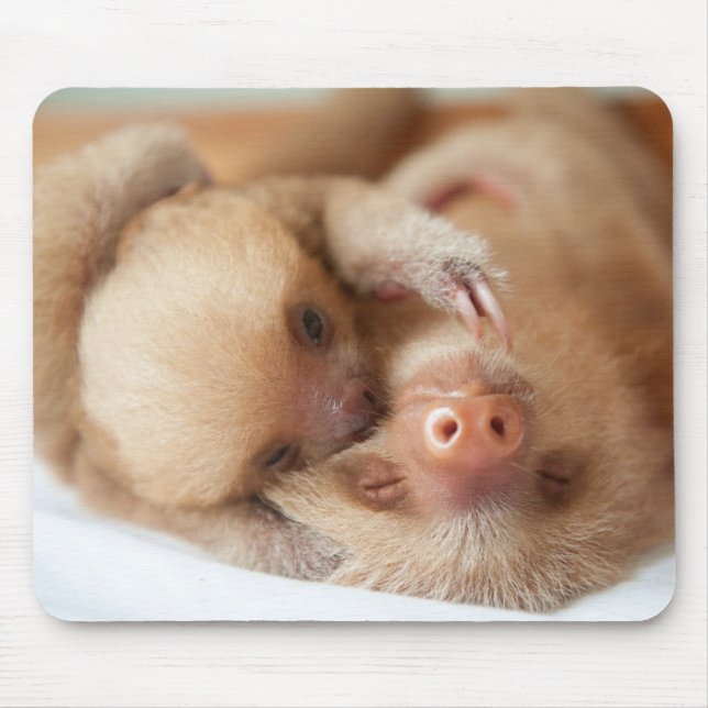 Sloth Mouse Pad (Front)