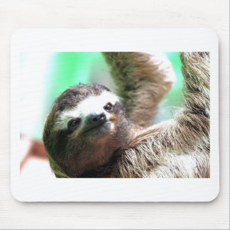 Sloth Mousepad