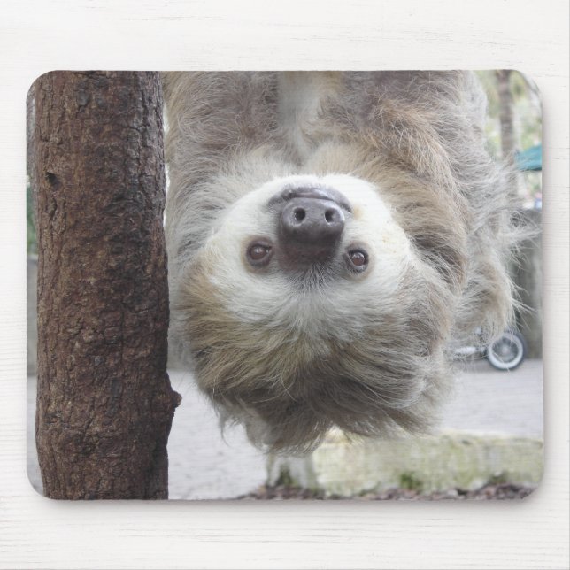 Sloth Mousepad (Front)