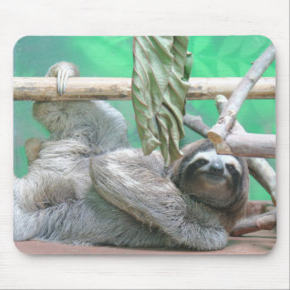 Sloth Mousepad