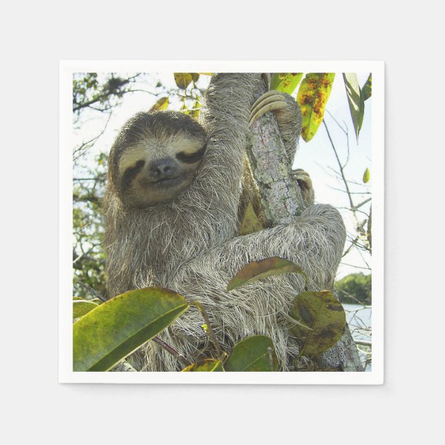 Sloth Napkin (Front)
