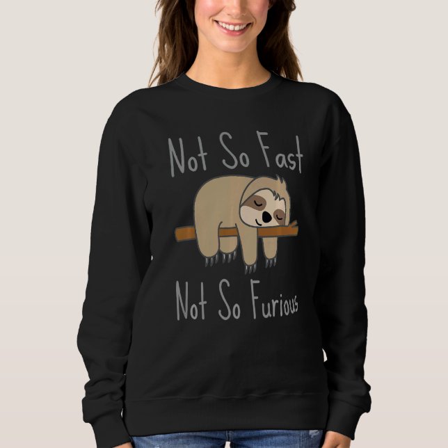 Sloth Not Fast Not Furious Cute And Sleeping Sloth Sweatshirt (Front)