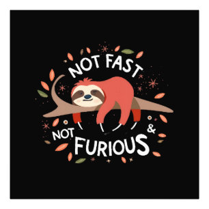 Sloth - Not Fast Not Furious Photo Print