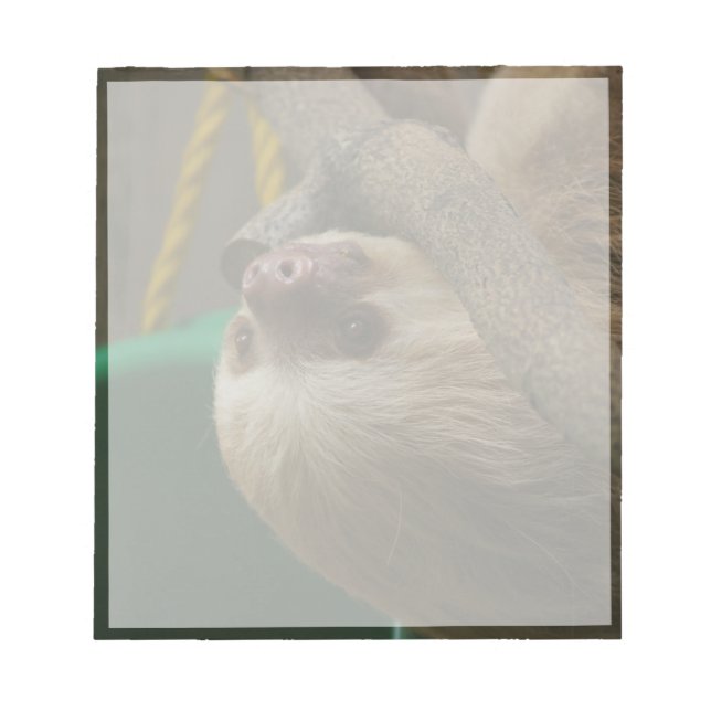 Sloth Notepad (Front)