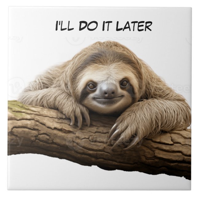 Sloth on a branch ceramic tile (Front)