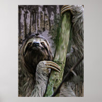 Sloth Paintings