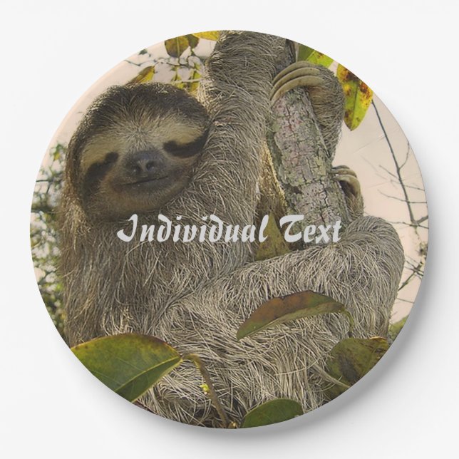 sloth paper plate (Front)