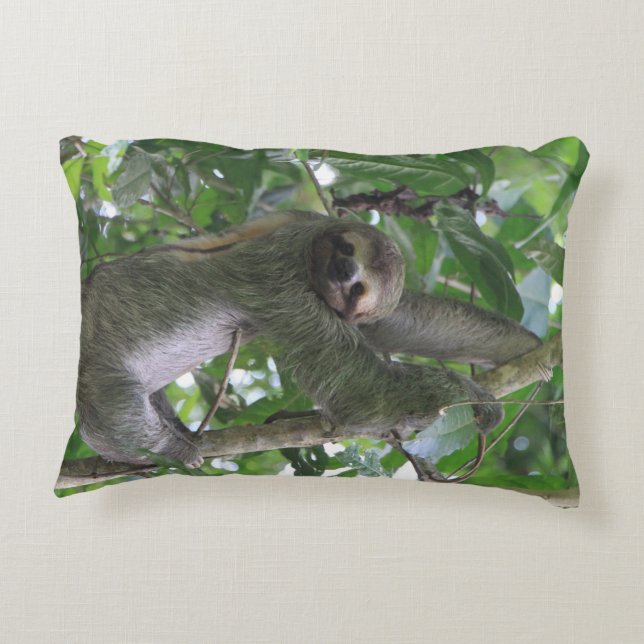 Sloth Pillow (Back)