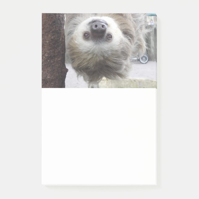 Sloth Post-It Notes (Front)