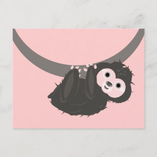 Sloth Postcard