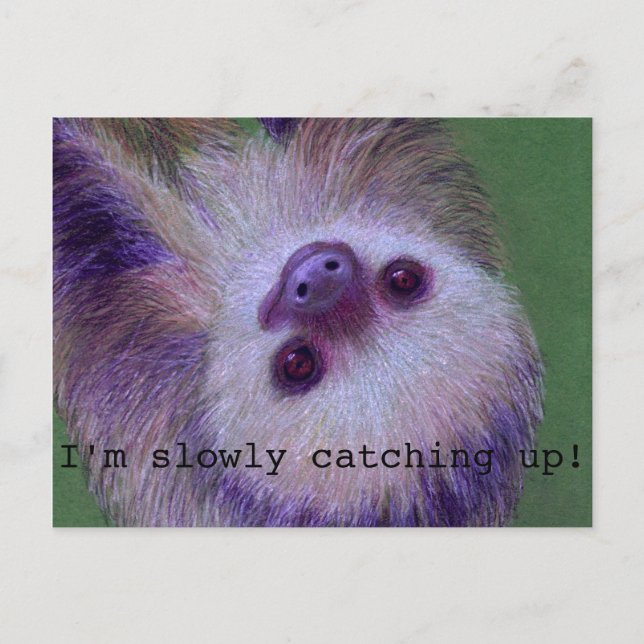 Sloth Postcard (Front)