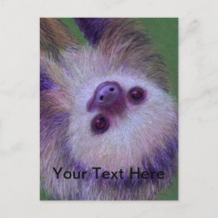 Sloth Postcard