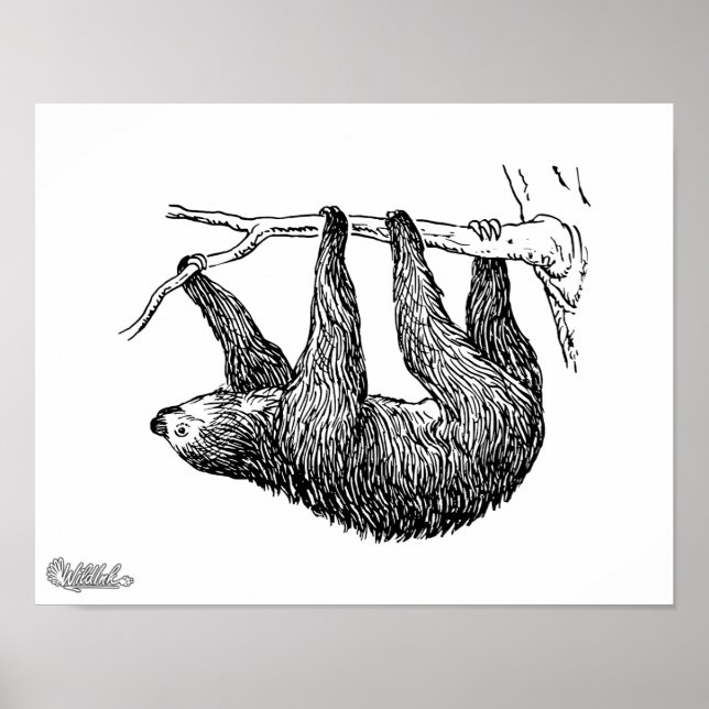 Sloth Poster (Front)