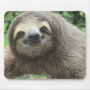 Sloth profile image mouse pad