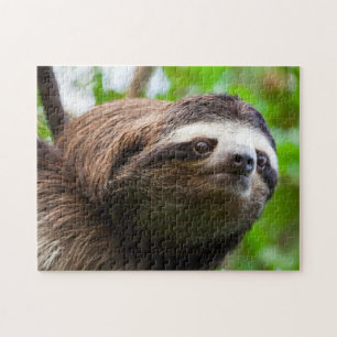 Sloth profile puzzle