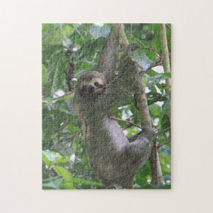 Sloth Puzzle