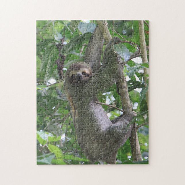 Sloth Puzzle (Vertical)