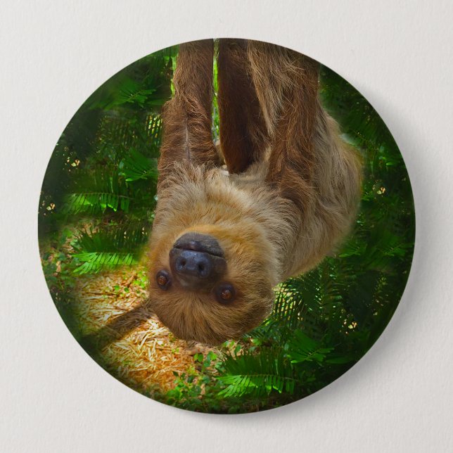 Sloth Rainforest Button (Front)
