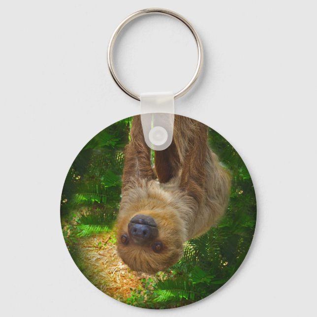 Sloth Rainforest Gifts Key Ring (Front)