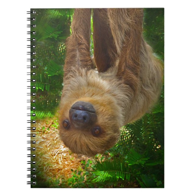 Sloth Rainforest Gifts Notebook (Front)