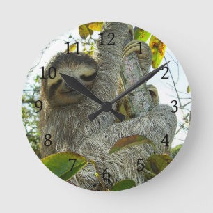 Sloth Round Clock