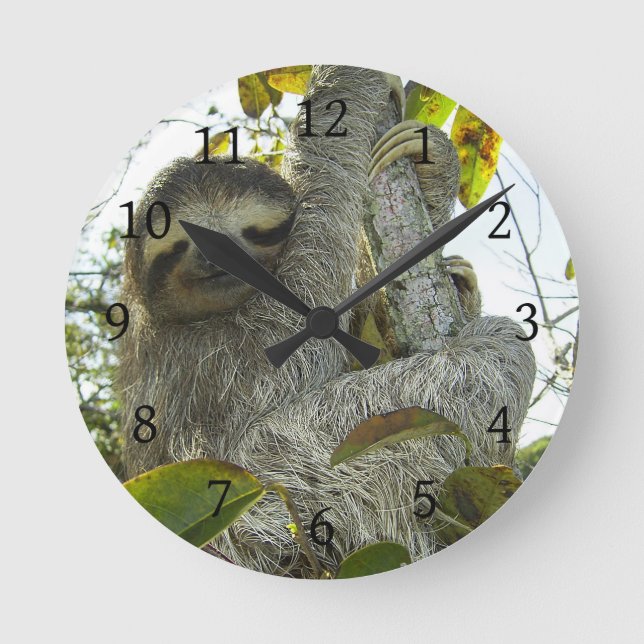 Sloth Round Clock (Front)