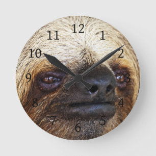 Sloth Round Clock