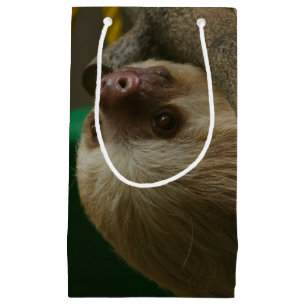 Sloth Small Gift Bag