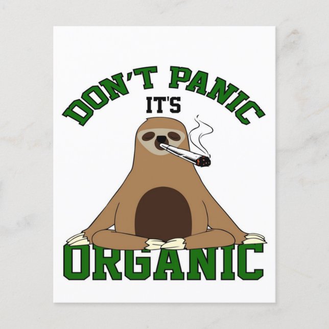 Sloth Smoking Weed Sloth Flyer (Front)