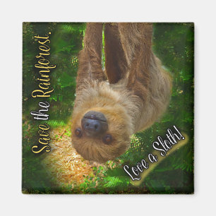 Sloth Square Magnet