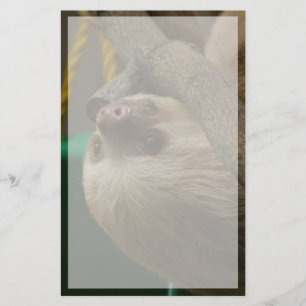Sloth Stationery