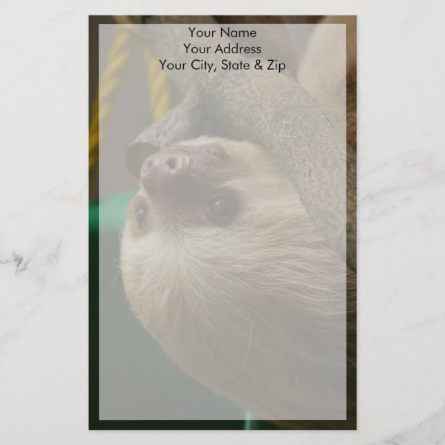 Sloth Stationery (Front)