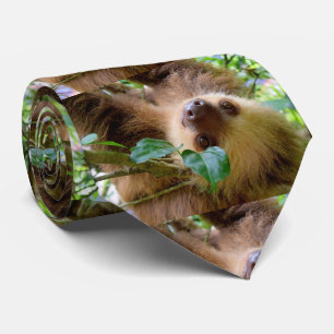 Sloth (Sth. Am. tree-dwelling mammal) Tie