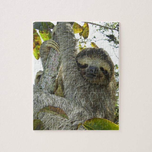 Sloth Up A Tree Jigsaw Puzzle (Vertical)