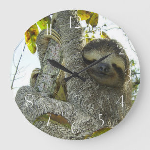 Sloth Up A Tree Large Clock