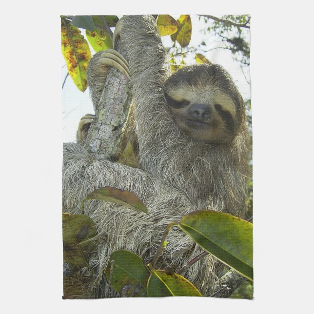 Sloth Up A Tree Tea Towel (Vertical)