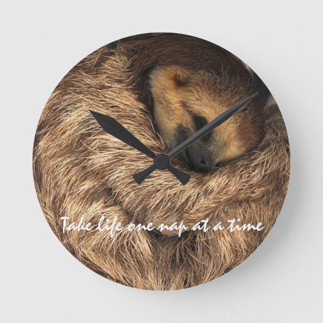 Sloth Wall Clock (Front)