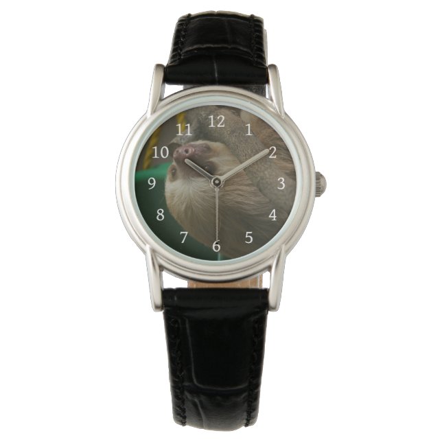 Sloth Watch (Front)
